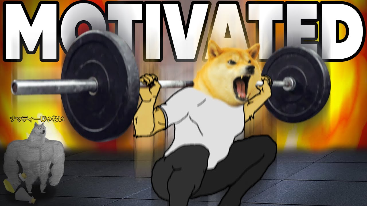 DOGGYM Background
