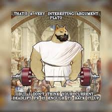 Doge Plato
